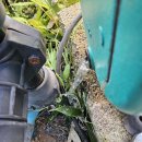 관수농장 | [몽실블루베리] &#34;잠깐의 게으름이 수리비 폭탄&#34; (겨울철 농장 펌프 동파방지 2가지 핵심 원칙)