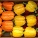 안흥농장 이미지