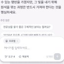 호리 | 자미두수 사이트 후기/호리AI 사용기!!