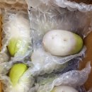 꿈이있는사과나무어린이집 이미지