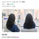헤이페리 이미지