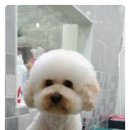 뽀송