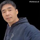 용인대 준 체육관 이미지