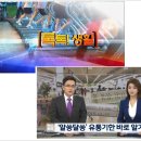 광장유통 이미지