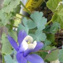 개금1동-3 이미지