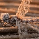 물의 기억 이미지