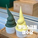 아이스크림있어요 | 여수디저트 여수당 쑥 옥수수 아이스크림 초코파이 후기