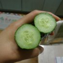 유자사랑농원 이미지