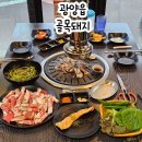 광양 맛집 추천 광양읍 가성비 좋은 고기집 골목돼지 용강점