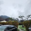 서울 근교 애견동반 가능한 대형 카페 양평 문릿