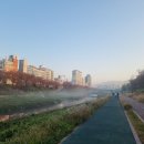 에르제 스튜디오 이미지