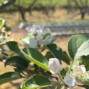 개운농장 이미지