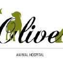 월드동물병원 이미지