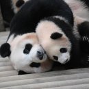 엄마찬스 이미지