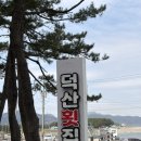 덕산횟집 - 창원시 진해구 동진로 135 | 삼척 맛집 덕산횟집 가족들과 다녀온 물회·회덮밥 후기