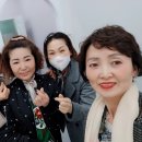 공주샵