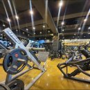 더 클래식 바디랩 이미지