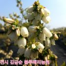 김금순농장 이미지