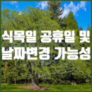 식목일 이미지