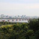 내적 충실도 이미지
