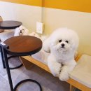 희소(Hee So) 이미지