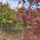 우리농원 이미지