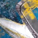 대부목장2 이미지