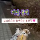 매탄공원 이미지