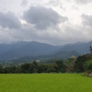 구비구비 산길돌아 영화 보기, '터넷' 이미지