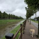 호국로 627번길 이미지