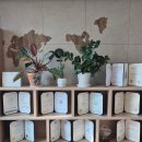 파모스라움(아)경로당 | 아산 배방심리상담 마음진심리상담센터