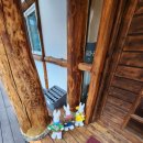 시골옻닭 | 용인삼계탕 맛집 금황옻닭 방문 후기