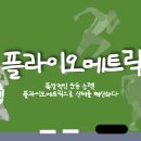 플라이오