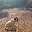 육회와짝태 | 제주도로 또 보내줘