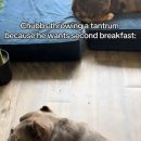 엄마밥도 이미지