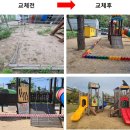 고아초교 헤럴드경제