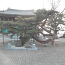 단월약국 네이버블로그