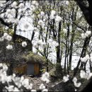 山川에서 이미지