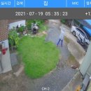 주정차CCTV-과수농협 | 화이자 복숭 and 마도카 (과수원 집 막내딸 식미食 味 기준)