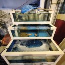 한림메디칼 | 계양구굴찜 퀄리티가 다른 작전동 감성포차 굴찜 후기