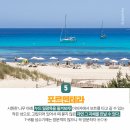 아일랜드 이미지