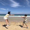 동호카서비스 | 신혼 여행 이후 첫 해외여행 - 나트랑 (2026.2월 마지막주)