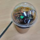 씨유방어원룸점 | [11.14~11.16] 달이 지는 속도로 아름다워지는 너.