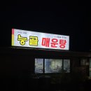 능매길 | 파주 매운탕 맛집 능골 매운탕 예약없이 내돈내산