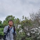 갑수씨랑 증평 삼보산(273m), 보강천미류나무숲( 2023.10.8. 일) 이미지