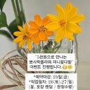 뽀시락플라워
