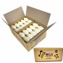 대중여관 이미지