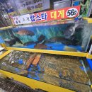선호어촌가