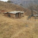 삼황 이미지