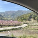 노커포레스트 | [청도대형카페]브런치와 빵이 가득한 노커포레스트🌱후기